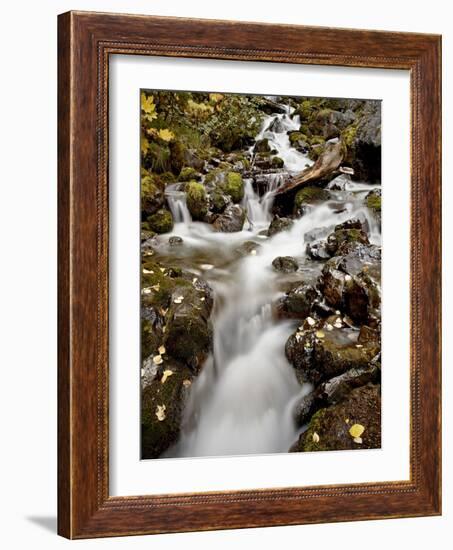 Cascade at Pioneer Falls, Alaska, United States of America, North America-James Hager-Framed Photographic Print