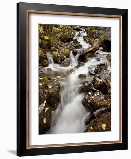 Cascade at Pioneer Falls, Alaska, United States of America, North America-James Hager-Framed Photographic Print