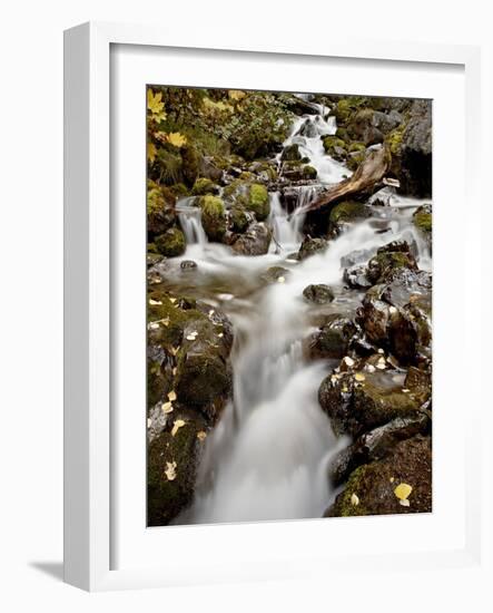 Cascade at Pioneer Falls, Alaska, United States of America, North America-James Hager-Framed Photographic Print