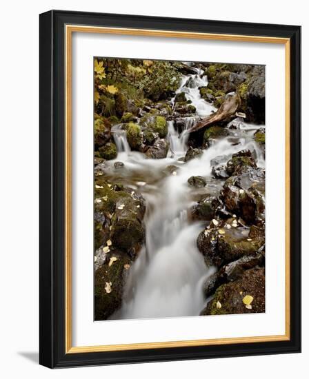 Cascade at Pioneer Falls, Alaska, United States of America, North America-James Hager-Framed Photographic Print