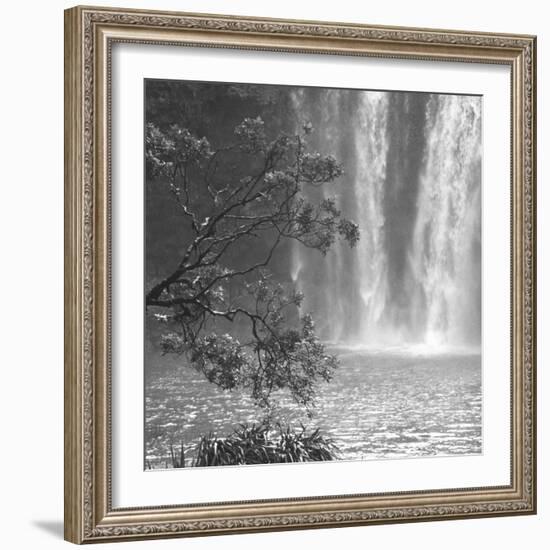 Cascade Calm-Tony Koukos-Framed Giclee Print