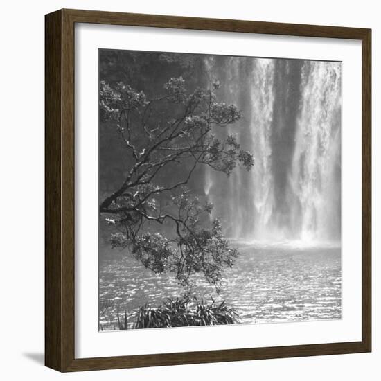 Cascade Calm-Tony Koukos-Framed Giclee Print