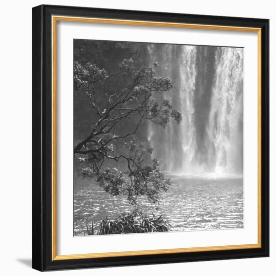 Cascade Calm-Tony Koukos-Framed Giclee Print