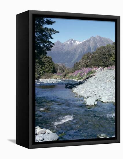 Cascade Creek and Stuart Mountains, South Island, New Zealand-Ian Griffiths-Framed Premier Image Canvas