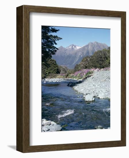 Cascade Creek and Stuart Mountains, South Island, New Zealand-Ian Griffiths-Framed Photographic Print