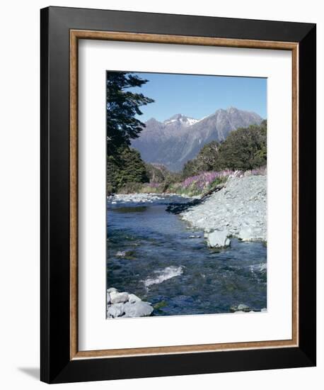 Cascade Creek and Stuart Mountains, South Island, New Zealand-Ian Griffiths-Framed Photographic Print