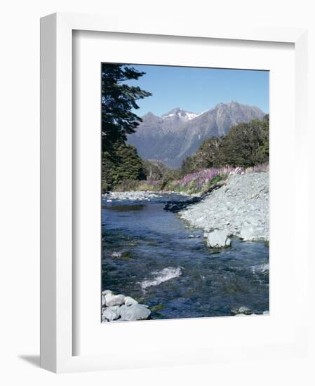 Cascade Creek and Stuart Mountains, South Island, New Zealand-Ian Griffiths-Framed Photographic Print