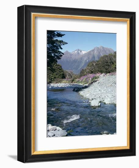 Cascade Creek and Stuart Mountains, South Island, New Zealand-Ian Griffiths-Framed Photographic Print