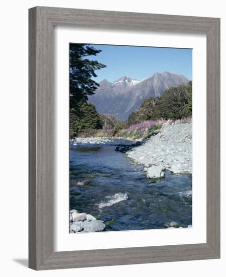 Cascade Creek and Stuart Mountains, South Island, New Zealand-Ian Griffiths-Framed Photographic Print