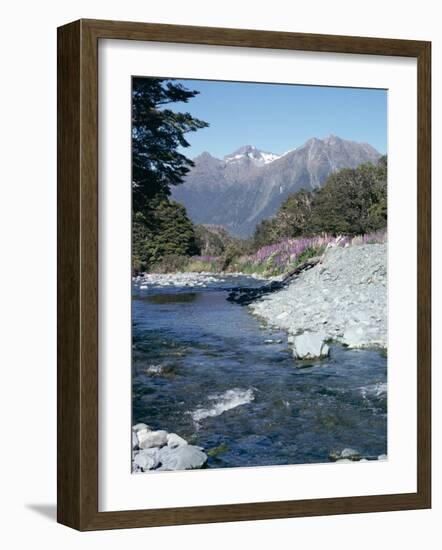 Cascade Creek and Stuart Mountains, South Island, New Zealand-Ian Griffiths-Framed Photographic Print