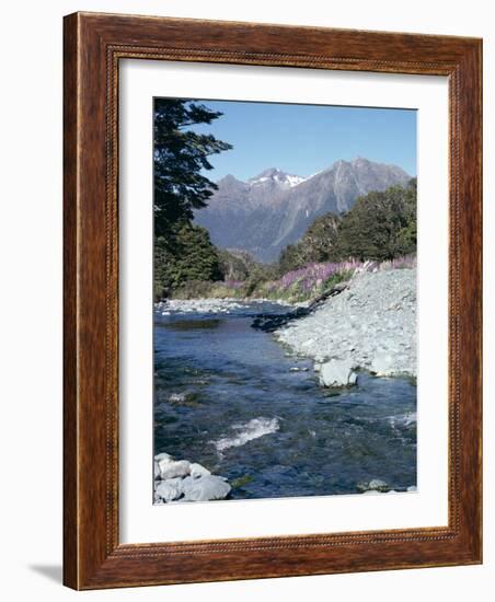 Cascade Creek and Stuart Mountains, South Island, New Zealand-Ian Griffiths-Framed Photographic Print