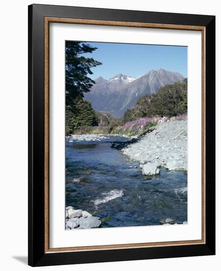 Cascade Creek and Stuart Mountains, South Island, New Zealand-Ian Griffiths-Framed Photographic Print