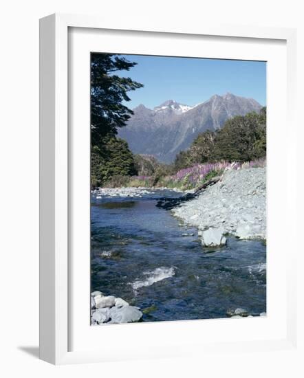 Cascade Creek and Stuart Mountains, South Island, New Zealand-Ian Griffiths-Framed Photographic Print