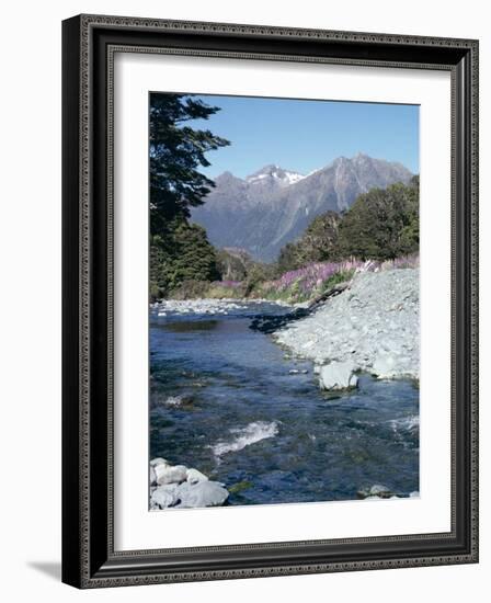 Cascade Creek and Stuart Mountains, South Island, New Zealand-Ian Griffiths-Framed Photographic Print