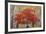 Cascade Fall Colors-Don Paulson-Framed Giclee Print