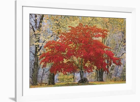 Cascade Fall Colors-Don Paulson-Framed Giclee Print