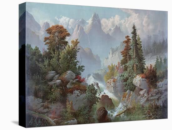 Stretched Canvas Print, , large