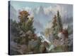 Stretched Canvas Print