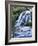 Cascade, Karangahake Gorge, North Island, New Zealand-Charles Gurche-Framed Photographic Print