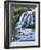 Cascade, Karangahake Gorge, North Island, New Zealand-Charles Gurche-Framed Photographic Print