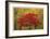 Cascade Mountains Fall Colors-Donald Paulson-Framed Giclee Print