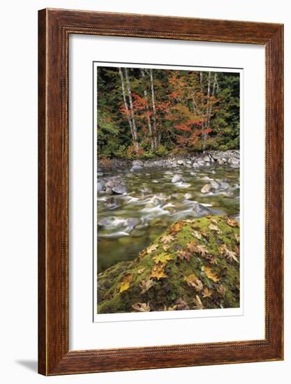 Cascade Mountains II-Donald Paulson-Framed Giclee Print