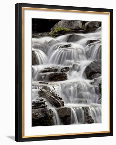 Cascade Near Logan Pass, Glacier National Park, Montana, USA-James Hager-Framed Photographic Print