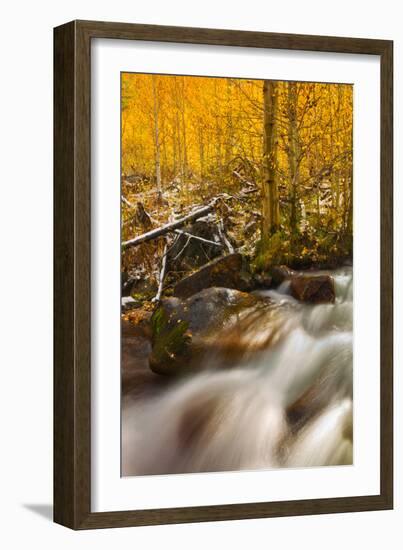 Cascade of Change-Mark Geistweite-Framed Photographic Print