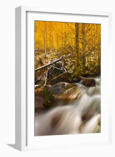 Cascade of Change-Mark Geistweite-Framed Photographic Print