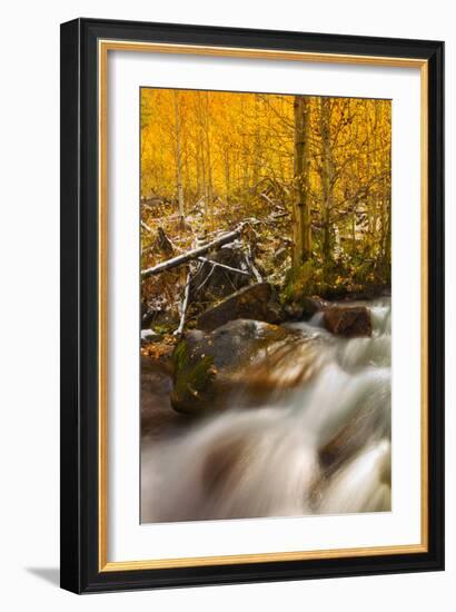 Cascade of Change-Mark Geistweite-Framed Photographic Print