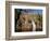 Cascade of Wangi Falls, Litchfield National Park, Northern Territory, Australia-David Wall-Framed Photographic Print