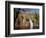 Cascade of Wangi Falls, Litchfield National Park, Northern Territory, Australia-David Wall-Framed Photographic Print