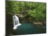 Cascade on Devil's Fork, Ozark-St Francis National Forest, Arkansas, USA-Charles Gurche-Mounted Photographic Print