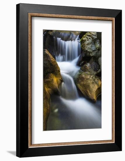 Cascade on Hare Creek, Limekiln State Park, Big Sur, California, Usa-Russ Bishop-Framed Photographic Print