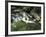 Cascade on Little River, Great Smoky Mountains National Park, Tennessee, USA-Adam Jones-Framed Photographic Print