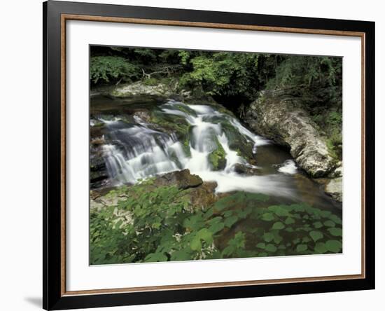 Cascade on Little River, Great Smoky Mountains National Park, Tennessee, USA-Adam Jones-Framed Photographic Print