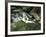 Cascade on Little River, Great Smoky Mountains National Park, Tennessee, USA-Adam Jones-Framed Photographic Print