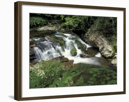 Cascade on Little River, Great Smoky Mountains National Park, Tennessee, USA-Adam Jones-Framed Photographic Print