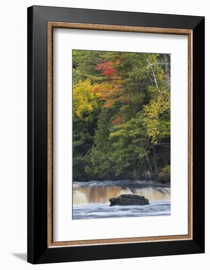 Cascade on Tahquamenon Falls, Tahquamenon Falls State Park, Michigan-Adam Jones-Framed Photographic Print