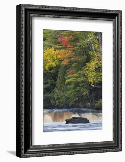 Cascade on Tahquamenon Falls, Tahquamenon Falls State Park, Michigan-Adam Jones-Framed Photographic Print