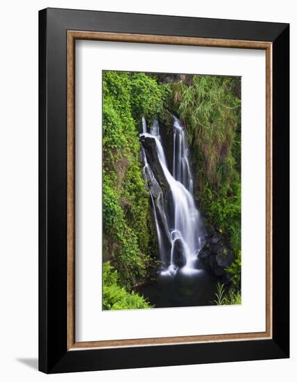 Cascade on the Hamakua Coast, the Big Island, Hawaii, Usa-Russ Bishop-Framed Premium Photographic Print