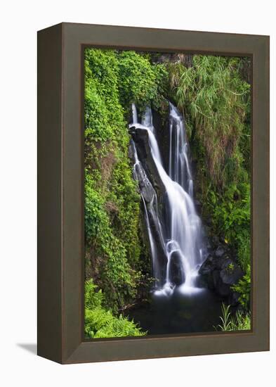 Cascade on the Hamakua Coast, the Big Island, Hawaii, Usa-Russ Bishop-Framed Premier Image Canvas