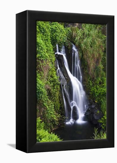 Cascade on the Hamakua Coast, the Big Island, Hawaii, Usa-Russ Bishop-Framed Premier Image Canvas