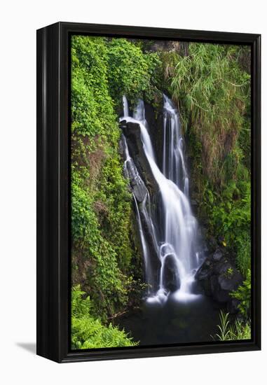 Cascade on the Hamakua Coast, the Big Island, Hawaii, Usa-Russ Bishop-Framed Premier Image Canvas