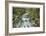 Cascade River North Fork-Donald Paulson-Framed Giclee Print