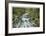 Cascade River North Fork-Donald Paulson-Framed Giclee Print