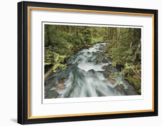 Cascade River North Fork-Donald Paulson-Framed Giclee Print