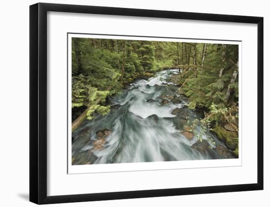 Cascade River North Fork-Donald Paulson-Framed Giclee Print