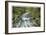 Cascade River North Fork-Donald Paulson-Framed Giclee Print