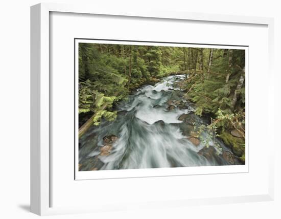 Cascade River North Fork-Donald Paulson-Framed Giclee Print